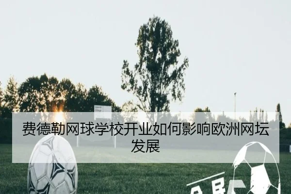 费德勒网球学校开业如何影响欧洲网坛发展
